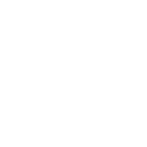 東莞（分公司）